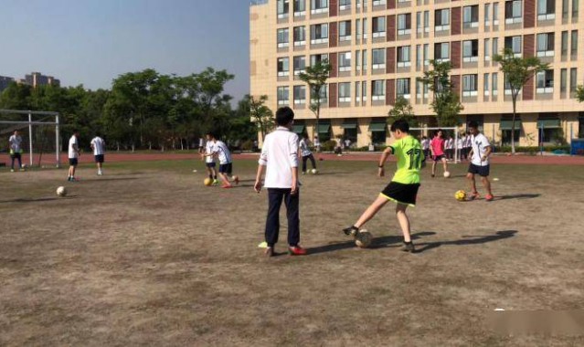 jinnianhui金年会- 卡尔斯鲁厄启动校园计划，千名少年参与试训  